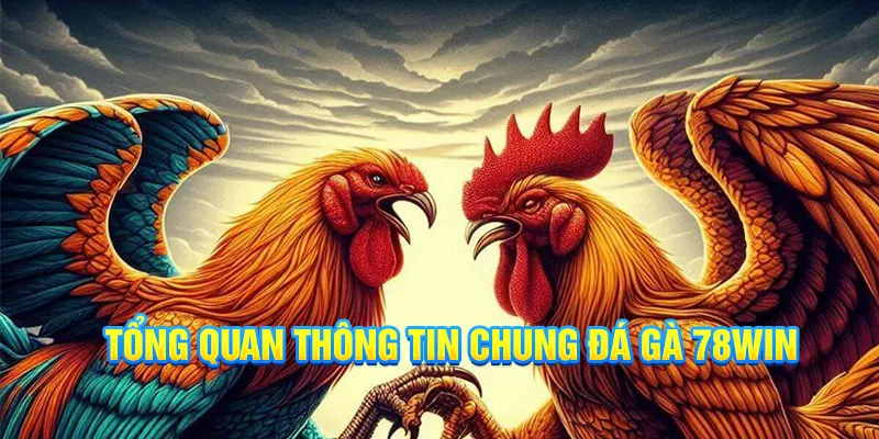 Tổng quan thông tin chung đá gà 78win