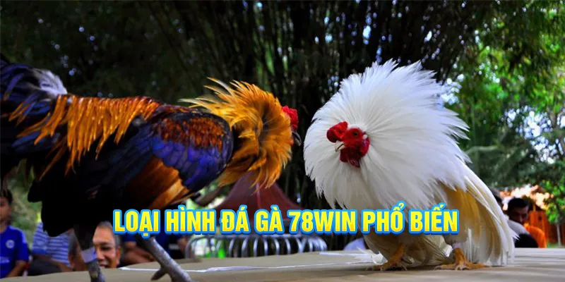 Loại Hình Đá Gà 78win